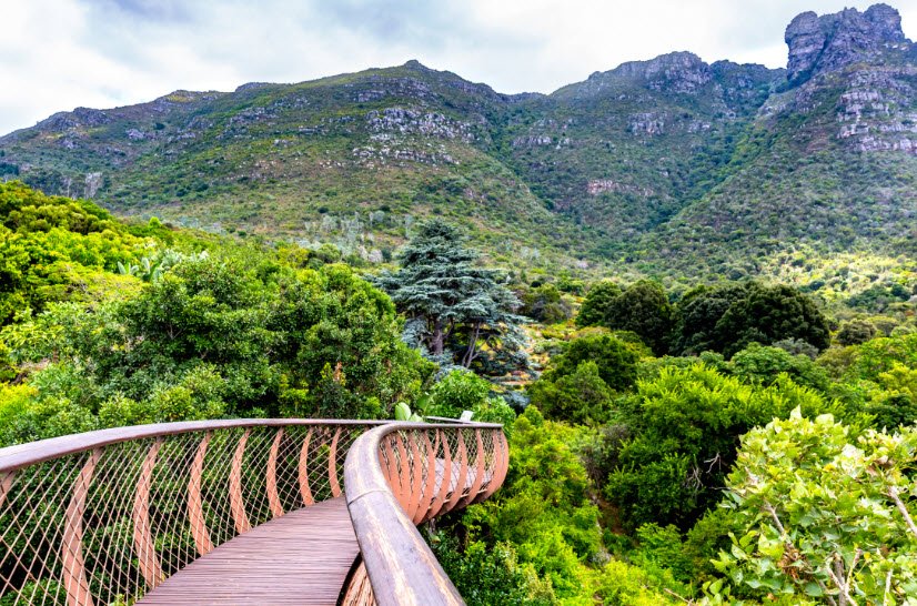 Kirstenbosch National Botanical Garden, South Africa